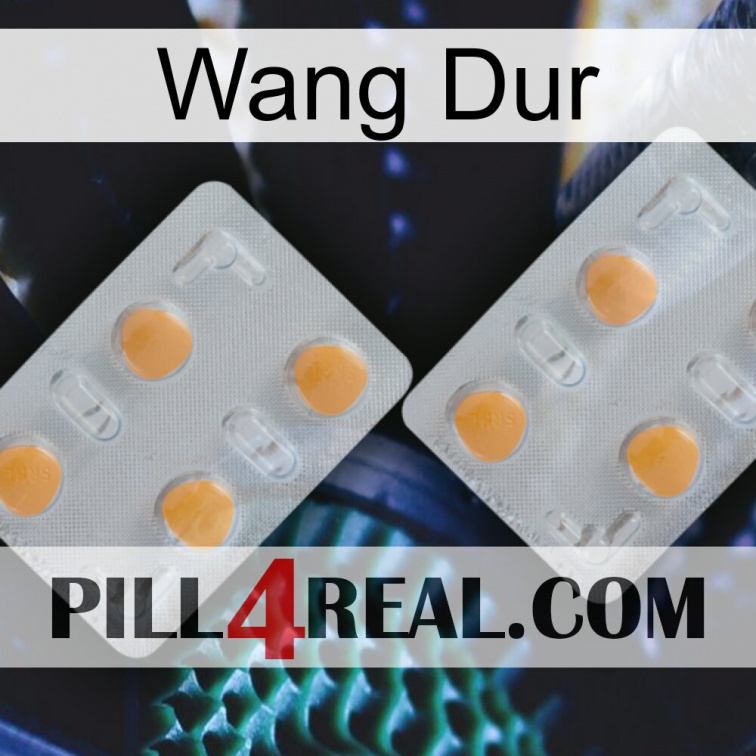 Hard Wang 25